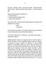 Diplomdarbs 'Lielo uzņēmumu audits', 59.