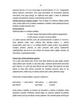 Diplomdarbs 'Lielo uzņēmumu audits', 60.