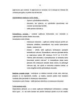 Diplomdarbs 'Lielo uzņēmumu audits', 61.