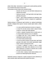 Diplomdarbs 'Lielo uzņēmumu audits', 62.