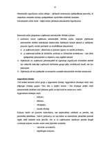 Diplomdarbs 'Lielo uzņēmumu audits', 67.