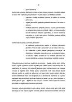 Diplomdarbs 'Lielo uzņēmumu audits', 68.