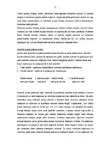 Diplomdarbs 'Lielo uzņēmumu audits', 73.