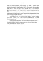 Diplomdarbs 'Lielo uzņēmumu audits', 76.