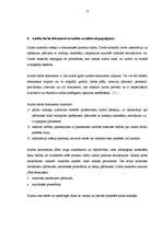 Diplomdarbs 'Lielo uzņēmumu audits', 77.