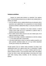 Diplomdarbs 'Lielo uzņēmumu audits', 82.