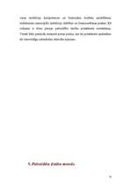 Referāts 'Pašvaldību tiesību jēdziens', 10.