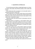 Referāts 'Bērnu agresija pirmsskolas vecumā', 17.