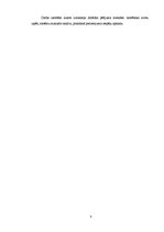 Diplomdarbs 'Kuģu satiksmes sistēmu analīze un praktiskās pielietošanas iespējas', 8.