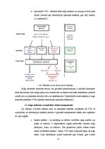 Diplomdarbs 'Kuģu satiksmes sistēmu analīze un praktiskās pielietošanas iespējas', 13.