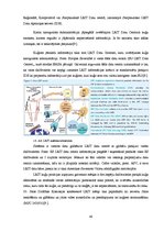 Diplomdarbs 'Kuģu satiksmes sistēmu analīze un praktiskās pielietošanas iespējas', 40.