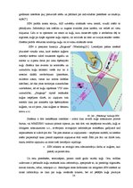 Diplomdarbs 'Kuģu satiksmes sistēmu analīze un praktiskās pielietošanas iespējas', 54.