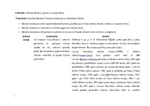 Konspekts 'Vēstures jēdzienu izpratne un nostiprināšana', 1.