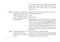 Konspekts 'Vēstures jēdzienu izpratne un nostiprināšana', 9.