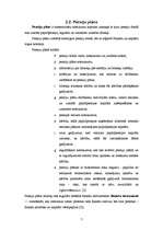 Referāts 'Privāto pensiju fondu darbība finanšu instrumentu tirgū', 7.