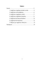 Referāts 'Anglicismu daudzveidīgs lietojums latviešu leksikā', 2.