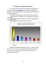 Referāts 'Anglicismu daudzveidīgs lietojums latviešu leksikā', 13.