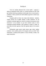 Referāts 'Anglicismu daudzveidīgs lietojums latviešu leksikā', 16.