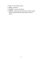 Referāts 'Anglicismu daudzveidīgs lietojums latviešu leksikā', 21.