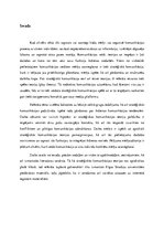 Referāts 'Stratēģiskās komunikācijas principi un lietojums', 2.