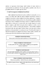 Referāts 'Stratēģiskās komunikācijas principi un lietojums', 6.