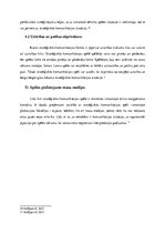 Referāts 'Stratēģiskās komunikācijas principi un lietojums', 8.