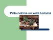 Prezentācija 'Pirts nozīme un veidi tūrismā', 1.