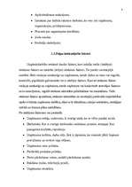 Referāts 'Peļņa un tās rādītāji', 8.