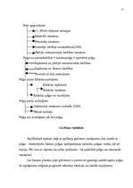 Referāts 'Peļņa un tās rādītāji', 17.