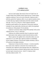 Referāts 'Peļņa un tās rādītāji', 19.