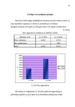 Referāts 'Peļņa un tās rādītāji', 20.