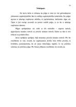 Referāts 'Peļņa un tās rādītāji', 30.