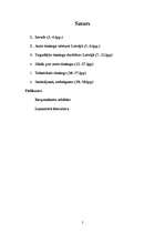 Referāts 'Auto tūnings', 2.