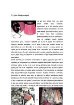 Referāts 'Auto tūnings', 34.