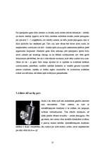 Referāts 'Auto tūnings', 35.