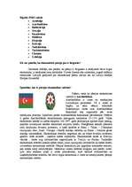 Eseja 'Pārejas ekonomikas valstis', 3.