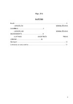 Referāts 'Speciālā izmeklēšanas darbība - speciālais izmeklēšanas eksperiments', 3.