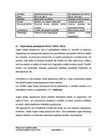 Referāts 'Pētījums par kvalitātes sistēmu ieviešanas iespējām tūrisma nozarē', 22.