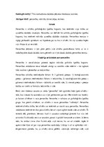 Referāts 'Personība', 2.