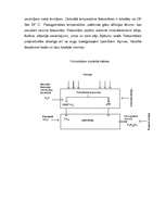 Referāts 'Fotosintēze', 5.