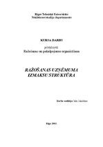 Referāts 'Ražošanas uzņēmuma izmaksu struktūra', 1.