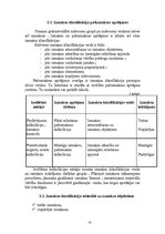 Referāts 'Ražošanas uzņēmuma izmaksu struktūra', 6.