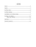 Referāts 'Konflikti, to cēloņi, attīstība un risināšanas taktikas', 2.