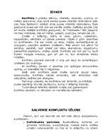 Referāts 'Konflikti, to cēloņi, attīstība un risināšanas taktikas', 3.