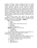 Referāts 'Konflikti, to cēloņi, attīstība un risināšanas taktikas', 11.