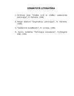 Referāts 'Konflikti, to cēloņi, attīstība un risināšanas taktikas', 17.