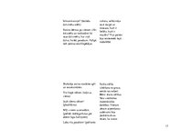 Prakses atskaite 'Aktīvā mācību un audzināšanas prakse pirmsskolā', 17.