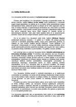 Prakses atskaite 'SIA "Akvaparks"', 6.