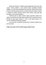 Referāts 'Reklāmas kampaņa priekšapmaksas mobilo sakaru kartei "Amigo"', 2.