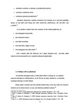 Referāts 'Reklāmas kampaņa priekšapmaksas mobilo sakaru kartei "Amigo"', 13.